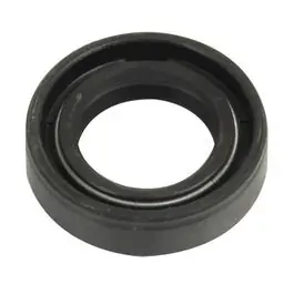 Buy Direct Pump Shaft Seal fits Massey Ferguson 50 165 175 178 1886308M1 fits David Brown fits Case IH E0NN3N529AA fits Ford 3925002