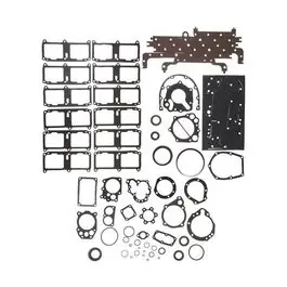 Hot Deal Conversion Set Gasket - Lower 3804454