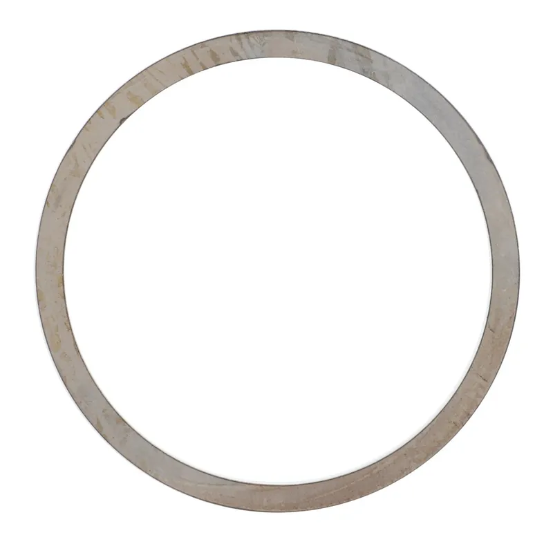 Bargain AGCO | Adjusting Shim - 3616309M1 0.01 kg